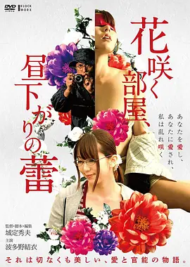 同心难改 冷门女同电影海报