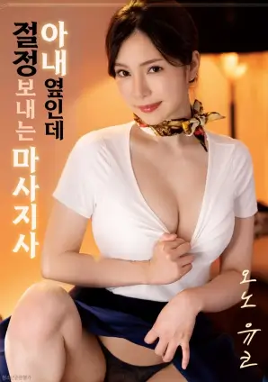 真心半解 女同电影海报